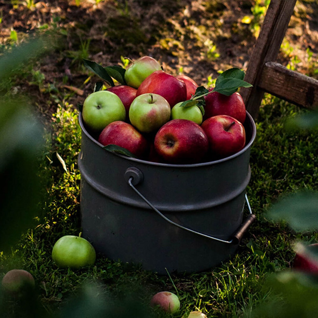 果汁品牌視覺設(shè)計 果汁品牌視覺設(shè)計
