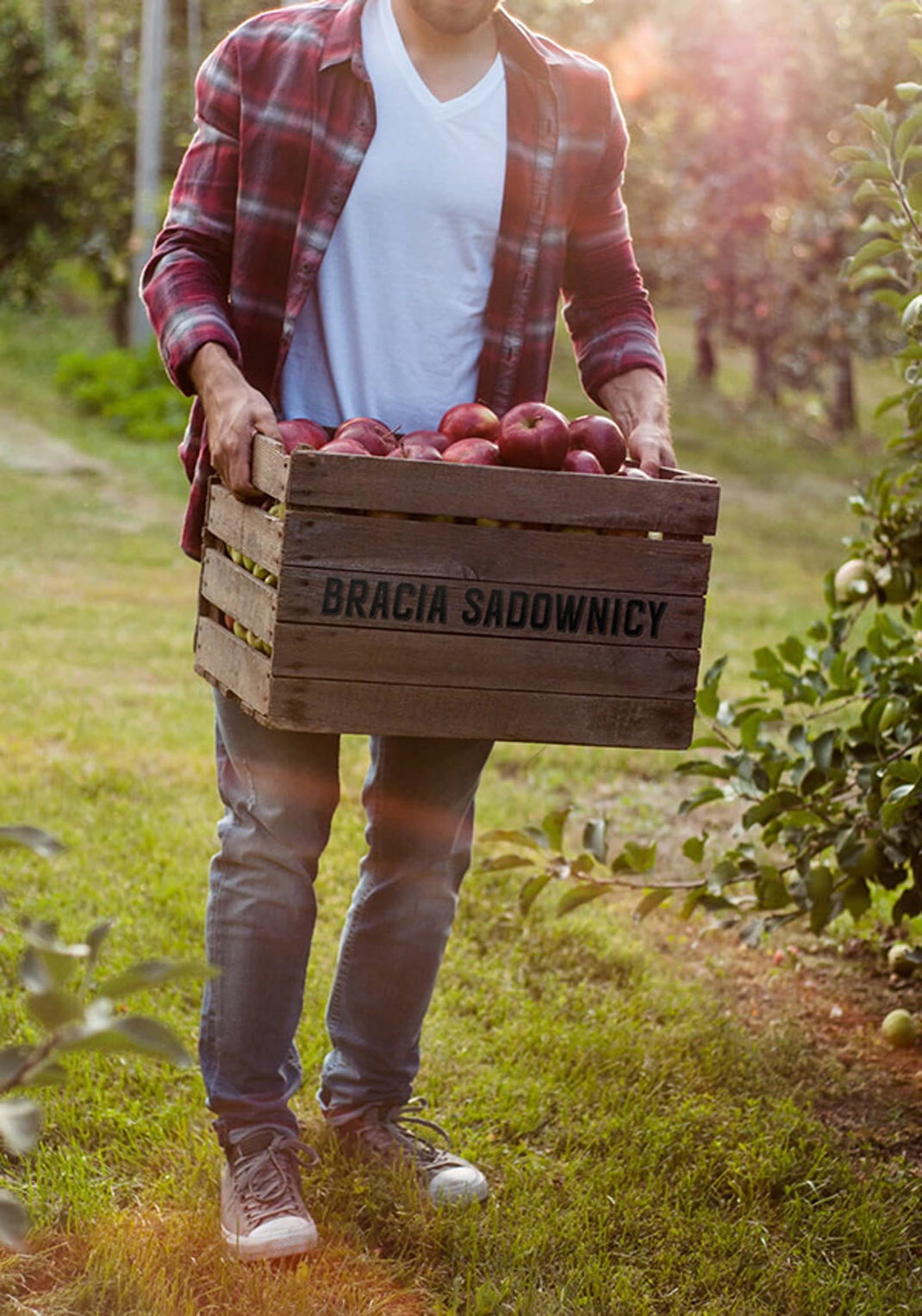 系列包裝設(shè)計 系列包裝設(shè)計