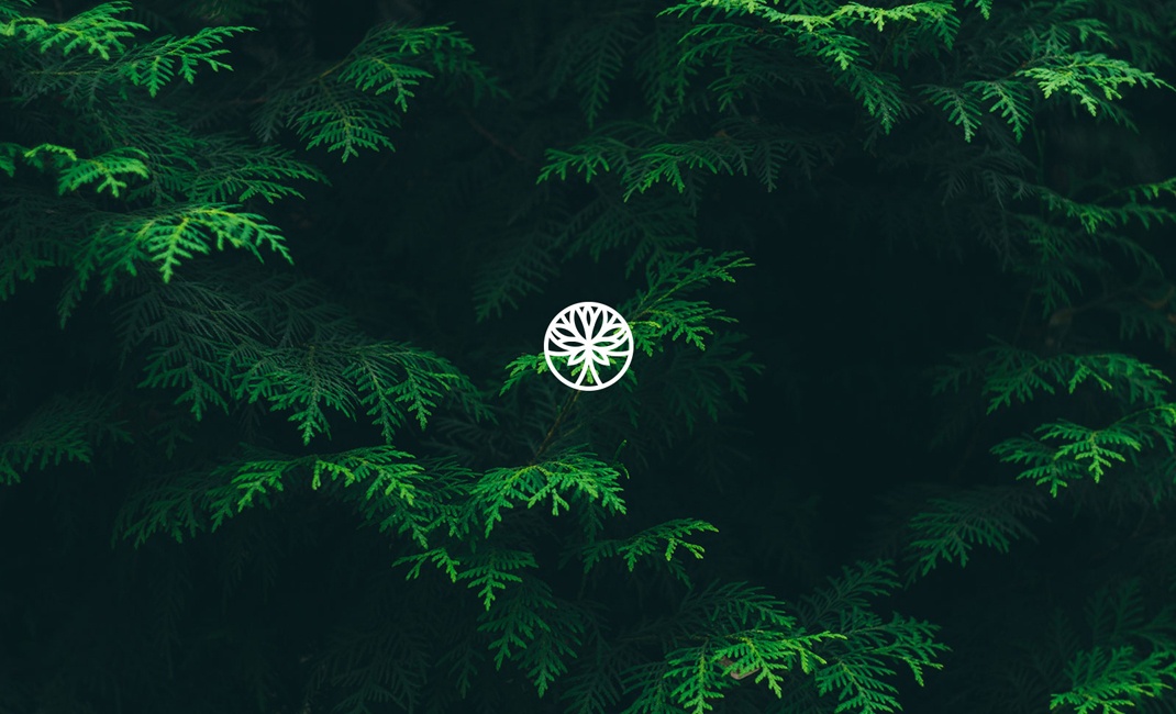 國(guó)外logo設(shè)計(jì)大全